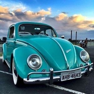 Meet your Posher, Luis